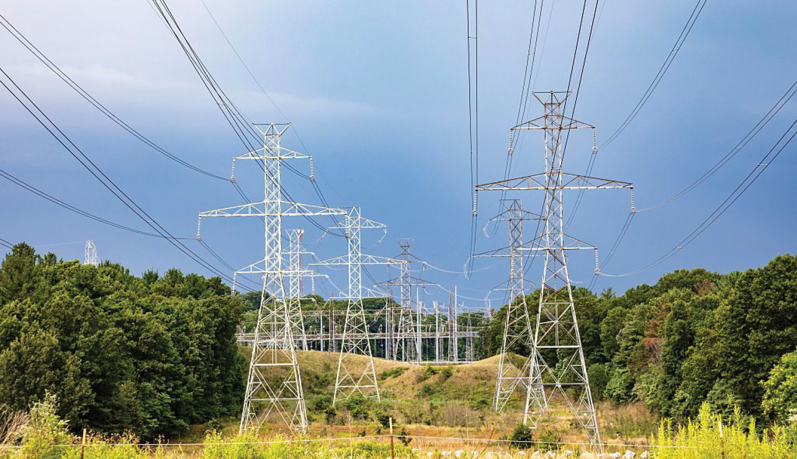 Bridgman, MI, 2025. (Photo by Jim West/UCG/Universal Images Group via Getty Images)